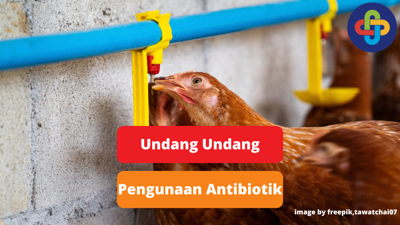 UU Pemerintah Tentang Antibiotik Ternak